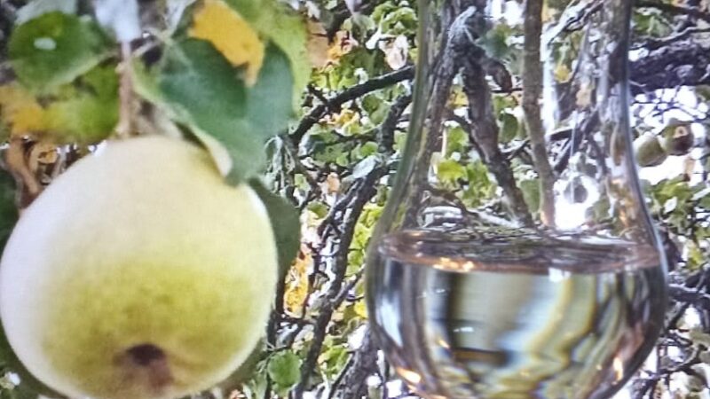 Obstbrand-Verkostung Kulinarik erleben