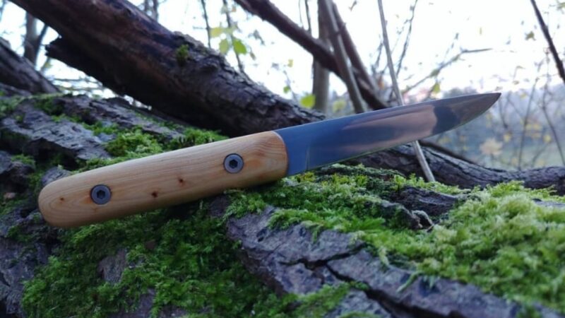 Messer Holzgriff Jan
